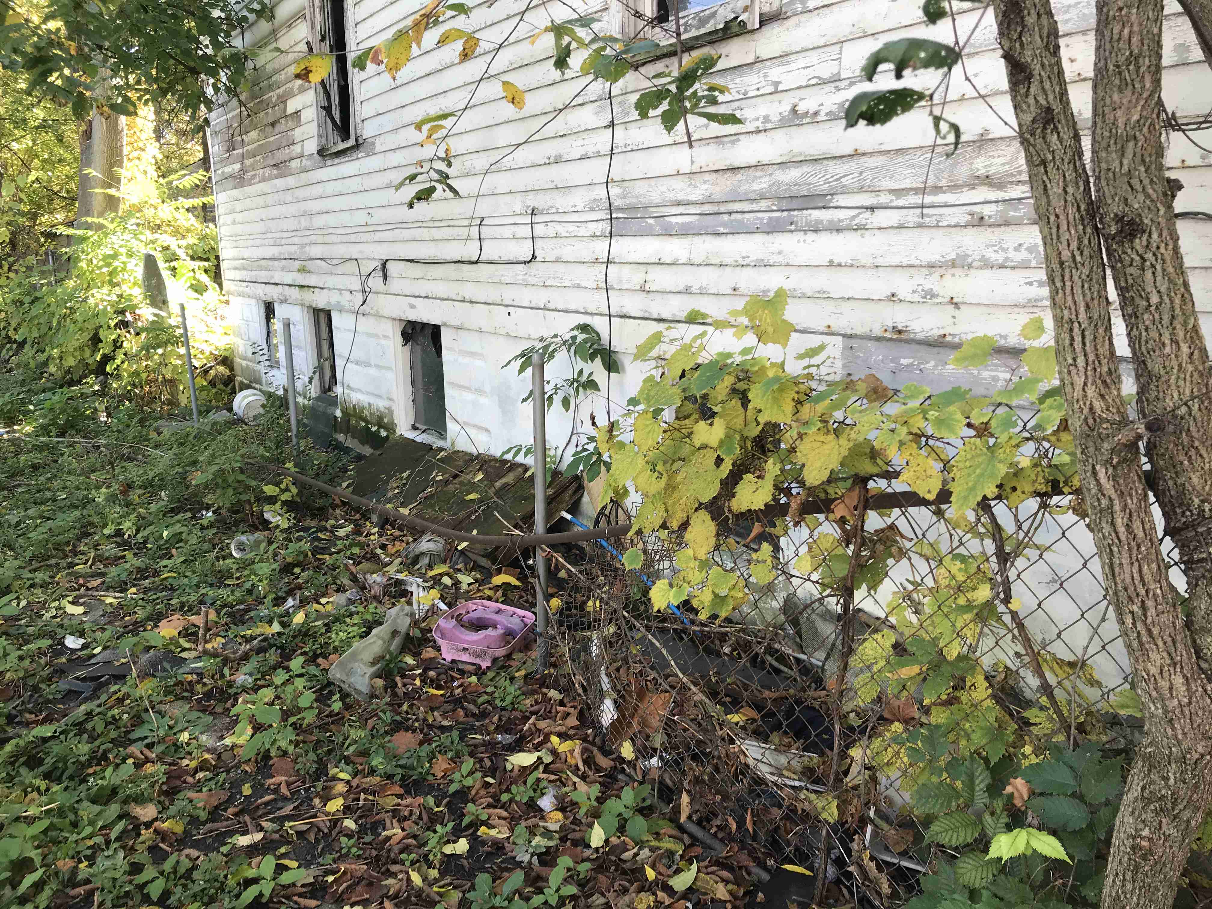 Photo Oct 13, 11 36 05 AM.jpg